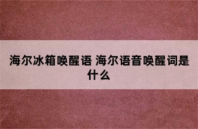 海尔冰箱唤醒语 海尔语音唤醒词是什么